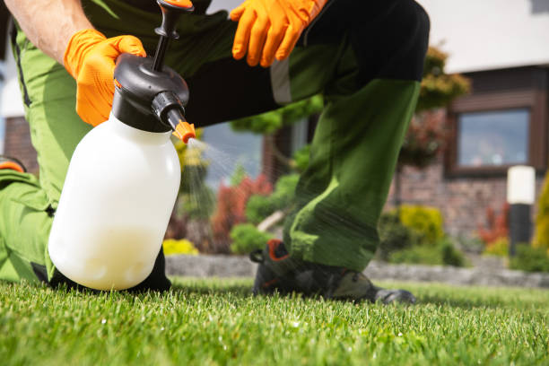 Best Ant Control Services  in Bentonville, AR