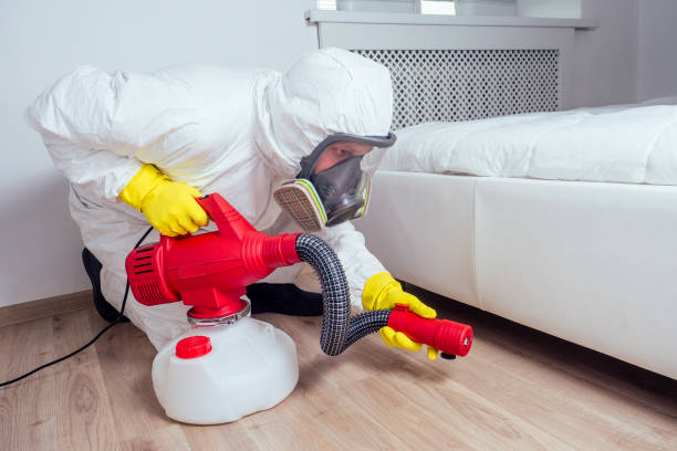 Best Mosquito Control Services  in Bentonville, AR