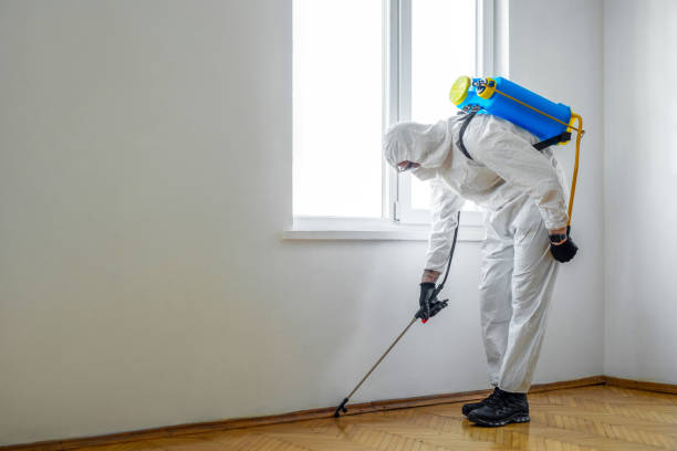 Best Residential Pest Control  in Bentonville, AR