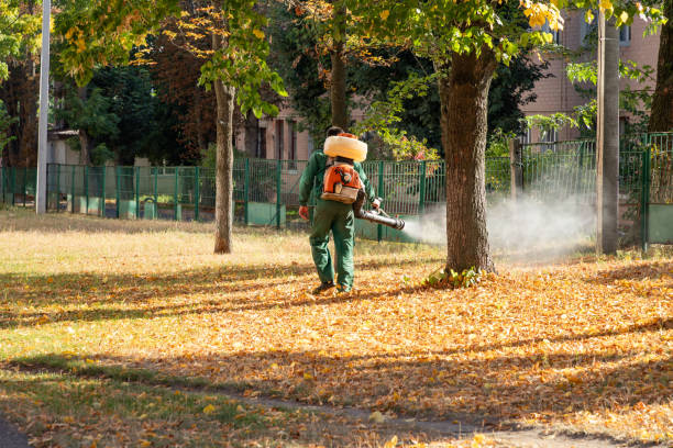 Best Wildlife Control Services  in Bentonville, AR