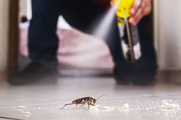 Best Wildlife Control Services  in Bentonville, AR